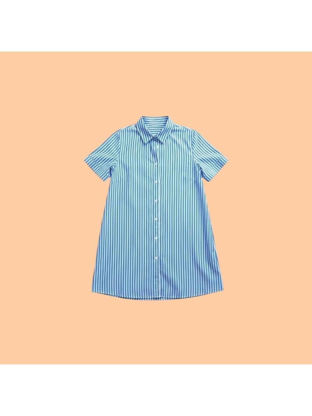 Blue and White Vertical Stripe Shirt Dress